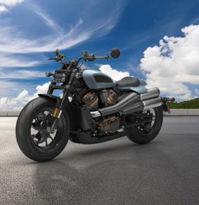 Untitled 283 x 292 px 22