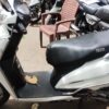 2019 Honda Activa