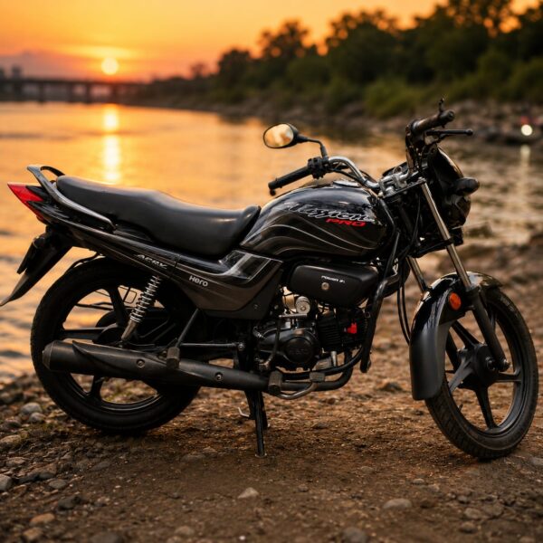 2014 Hero Passion Pro