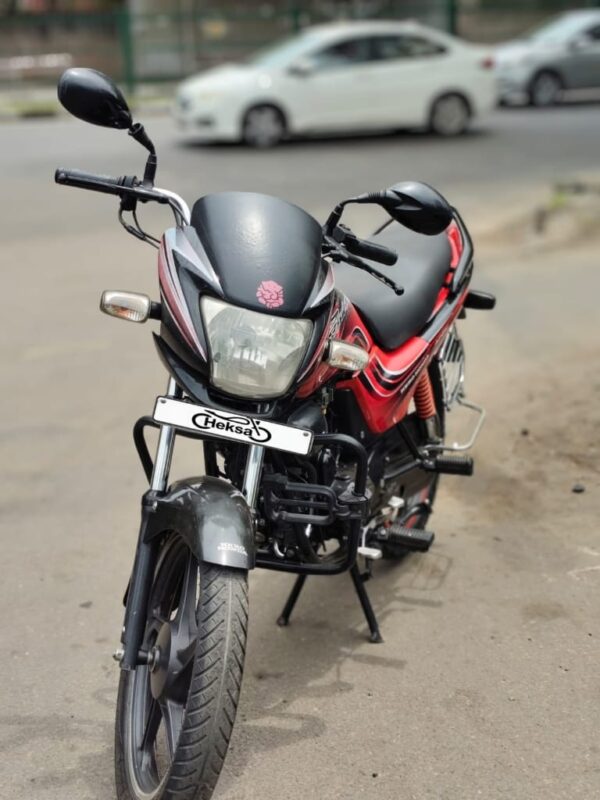 2010 Hero Passion Pro