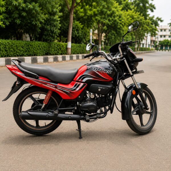 2010 Hero Passion Pro