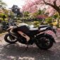 2024 Bajaj Pulsar RS200