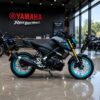 2024 Yamaha MT 15 V2