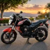 2014 Yamaha FZ-S